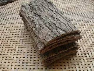 健康资讯 食疗药膳                 【来源】           药用杜仲,即