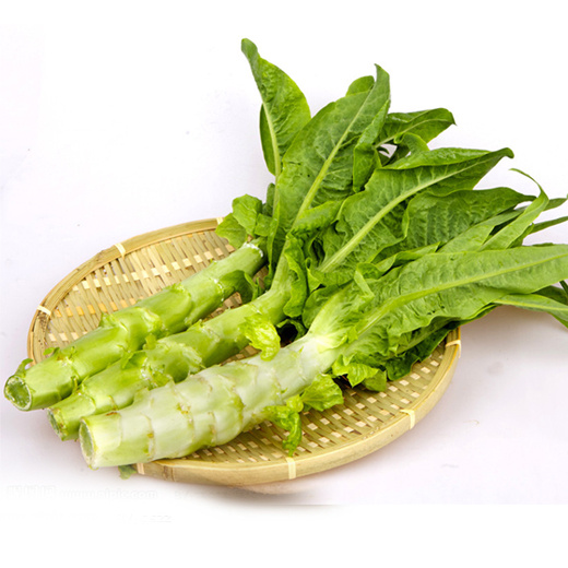 医药天地 | 莴苣,顶着那么小清新名字,功效竟如此多