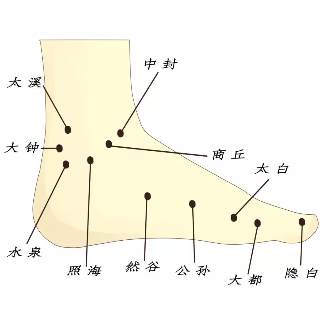 而且,足三阴经的起于此,足三阳经的终于此,这6条经脉之根都分别在脚6