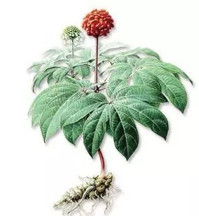 t015b57368b34b3f102_看图王.png