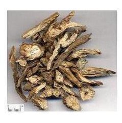 白头翁