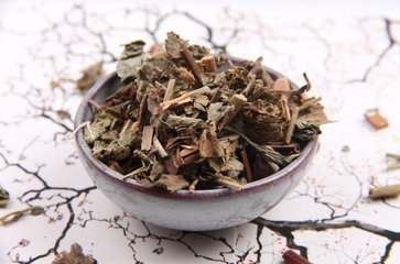 鹤草芽