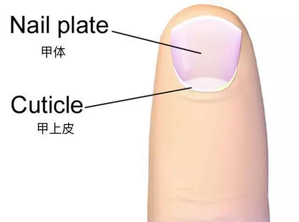 美甲