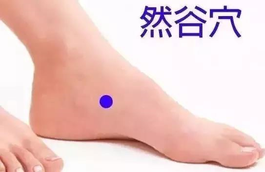 固生堂