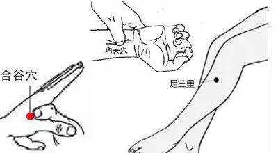 固生堂